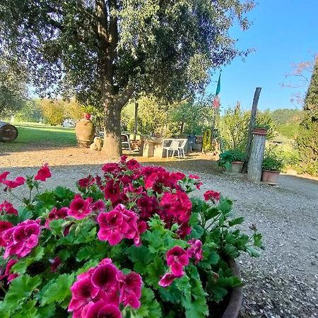 Azienda Agricola Polveraia San Gimignano Buitenkant foto