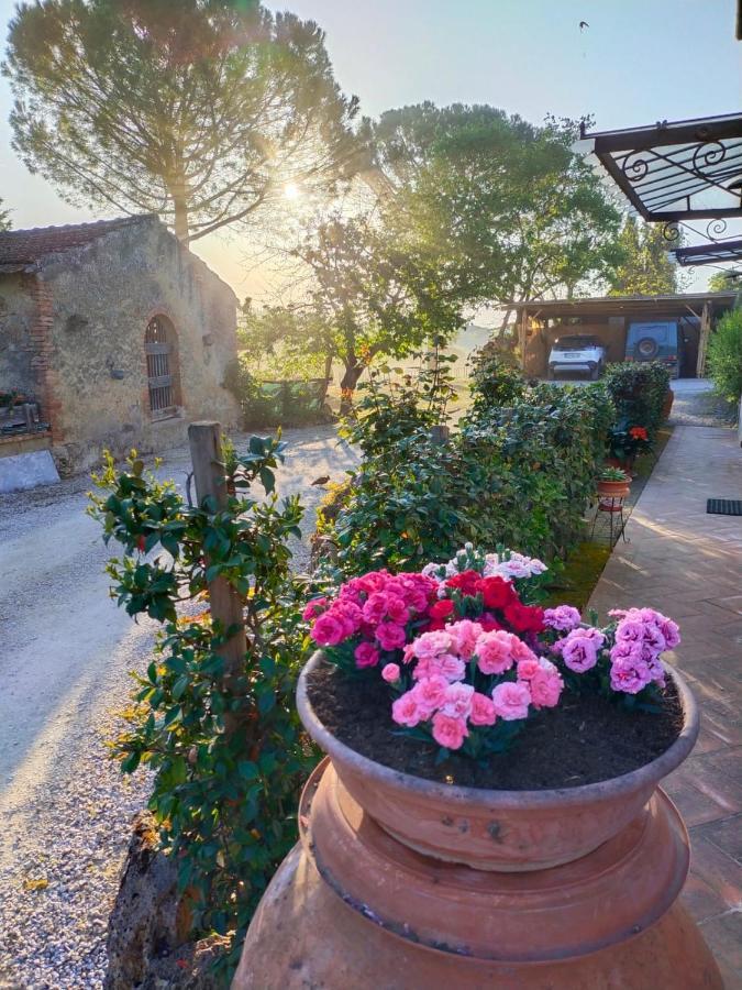 Azienda Agricola Polveraia San Gimignano Buitenkant foto