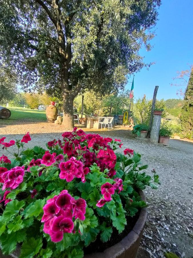 Azienda Agricola Polveraia San Gimignano Buitenkant foto