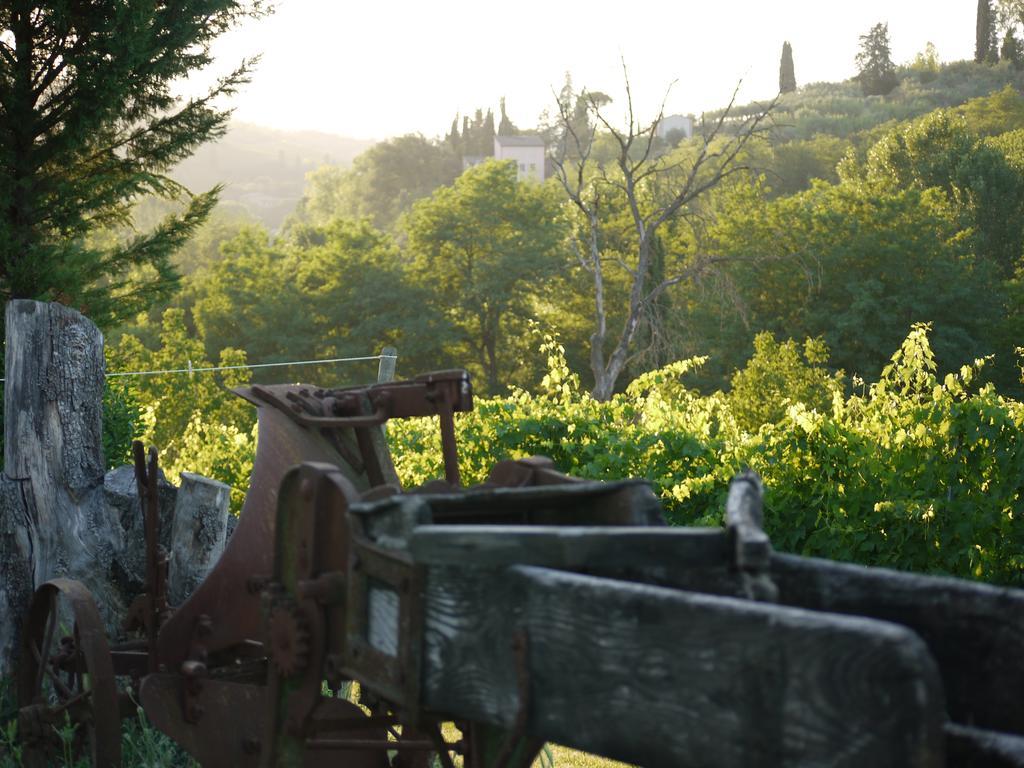 Azienda Agricola Polveraia San Gimignano Buitenkant foto