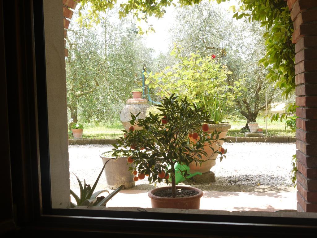 Azienda Agricola Polveraia San Gimignano Buitenkant foto