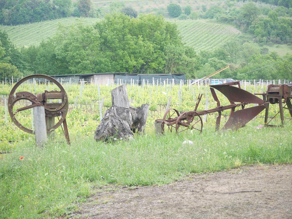 Azienda Agricola Polveraia San Gimignano Buitenkant foto
