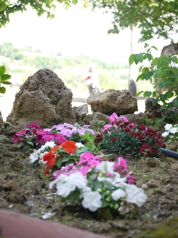 Azienda Agricola Polveraia San Gimignano Buitenkant foto