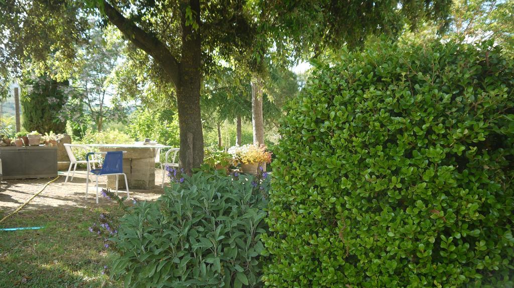Azienda Agricola Polveraia San Gimignano Buitenkant foto