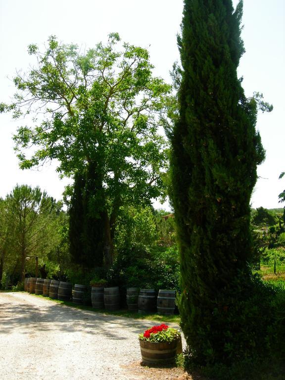 Azienda Agricola Polveraia San Gimignano Buitenkant foto