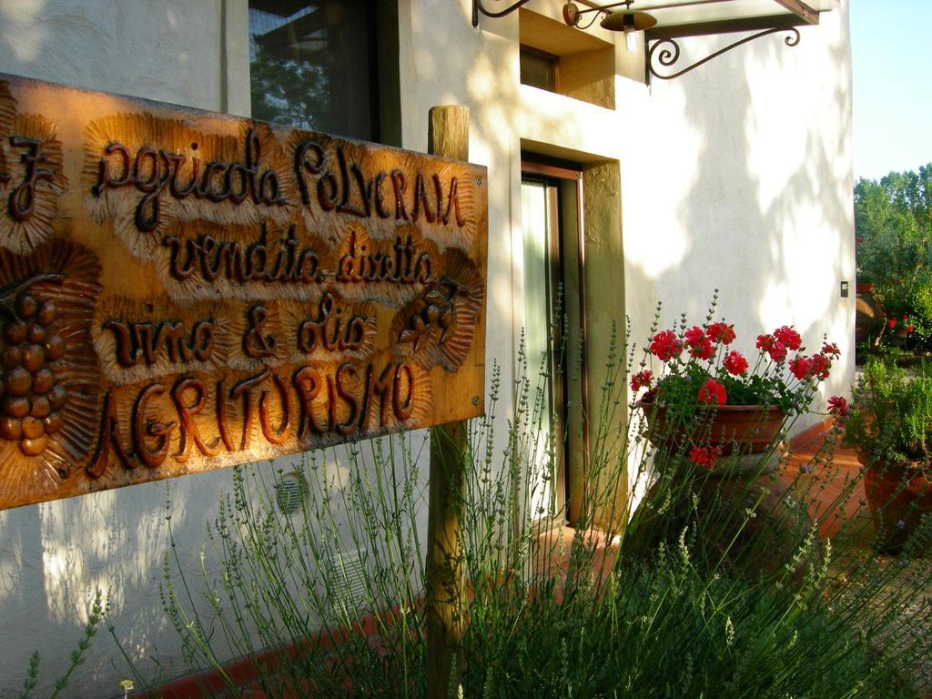 Azienda Agricola Polveraia San Gimignano Buitenkant foto