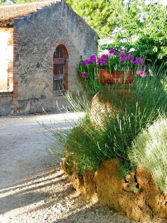 Azienda Agricola Polveraia San Gimignano Buitenkant foto