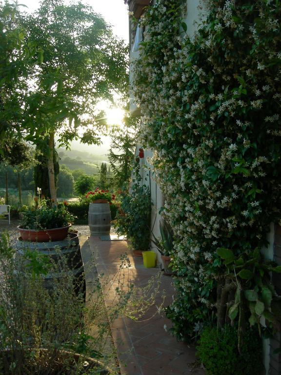 Azienda Agricola Polveraia San Gimignano Buitenkant foto