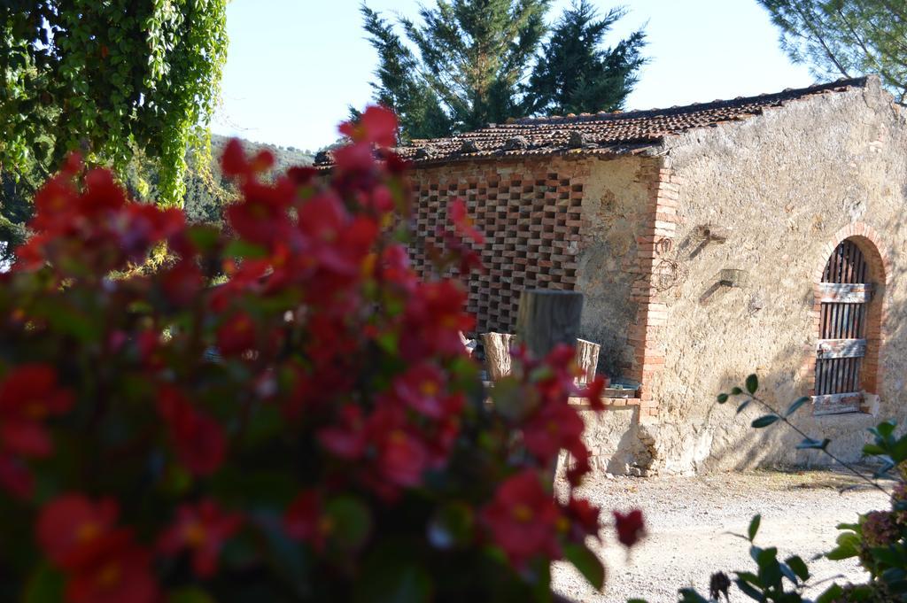 Azienda Agricola Polveraia San Gimignano Buitenkant foto