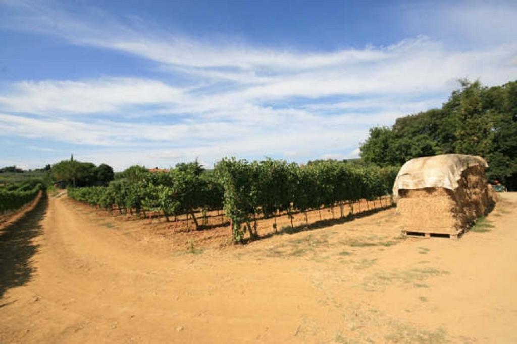 Azienda Agricola Polveraia San Gimignano Buitenkant foto