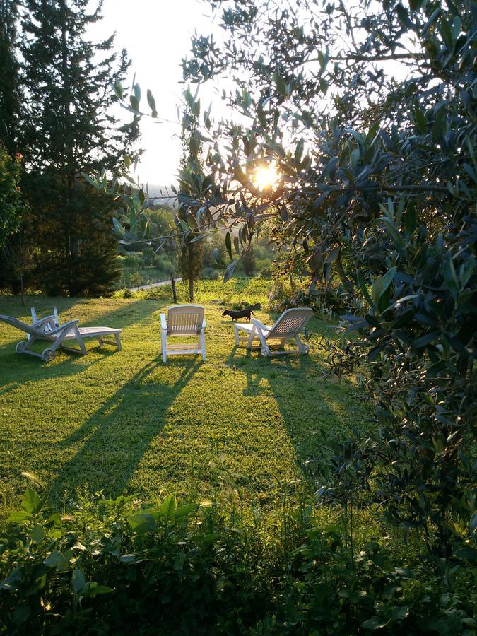 Azienda Agricola Polveraia San Gimignano Buitenkant foto