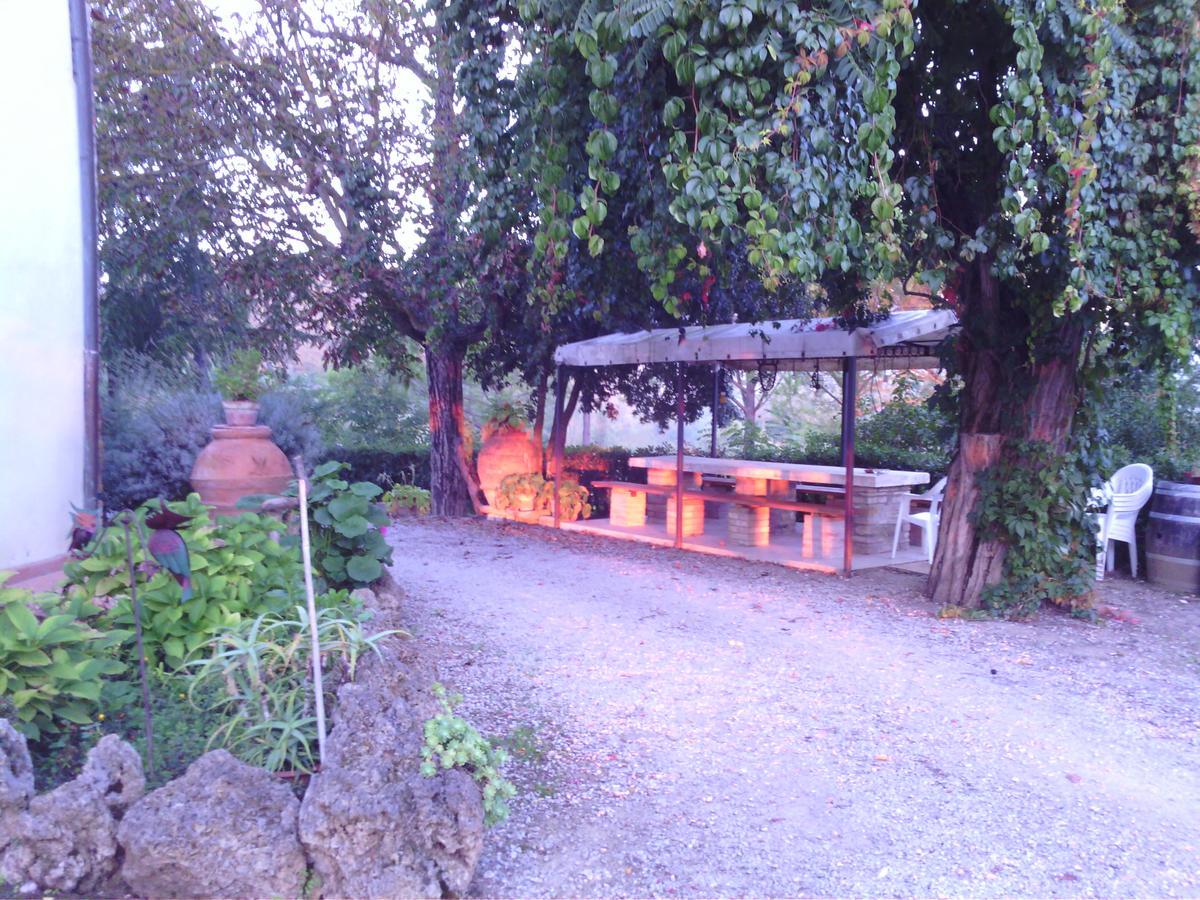 Azienda Agricola Polveraia San Gimignano Buitenkant foto
